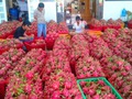 100 tấn thanh long Việt đầu tiên vào siêu thị Thái Lan